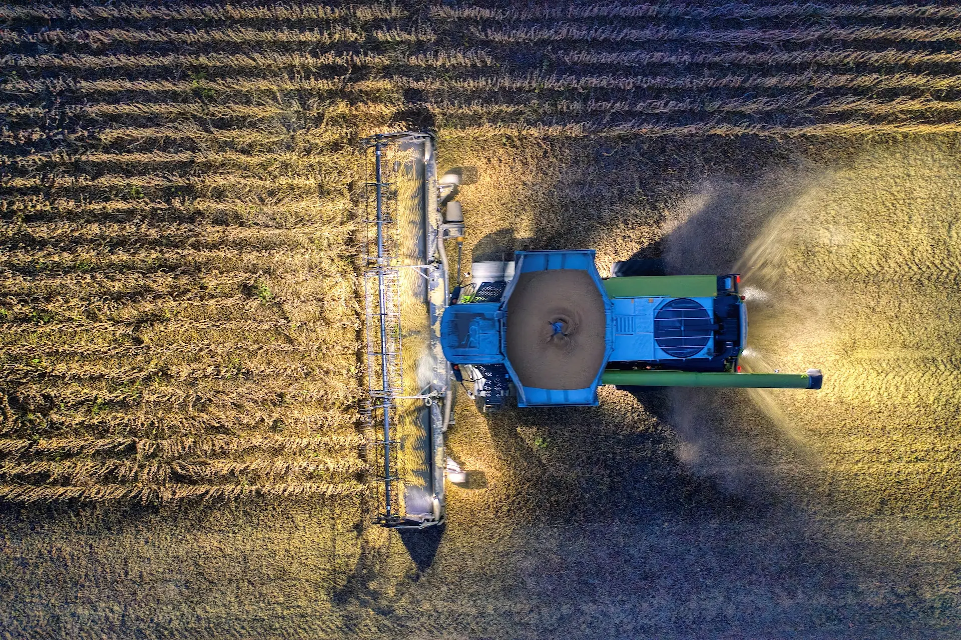 IROA - Paisagem agrícola